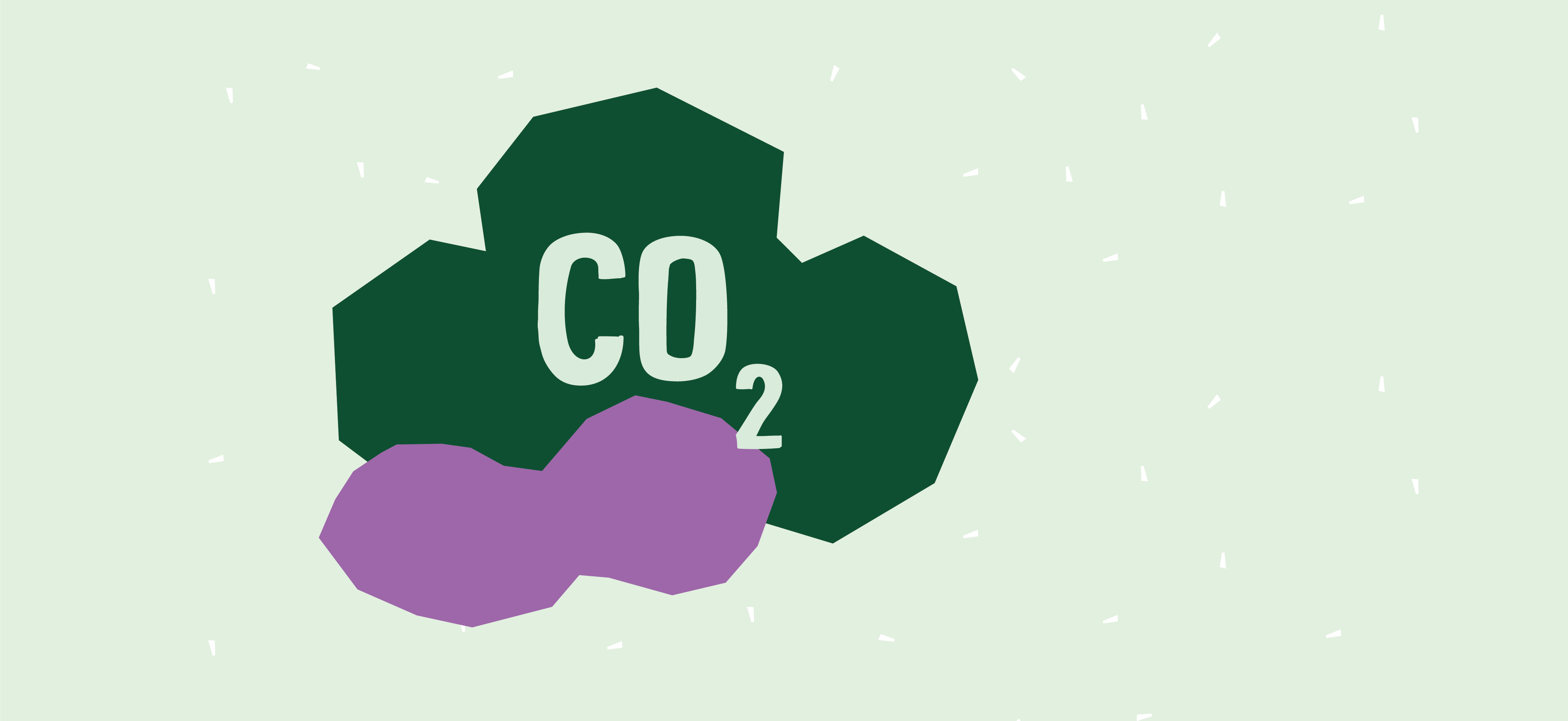 Grüner wird’s nicht - Wir wollen das Klimalabel!