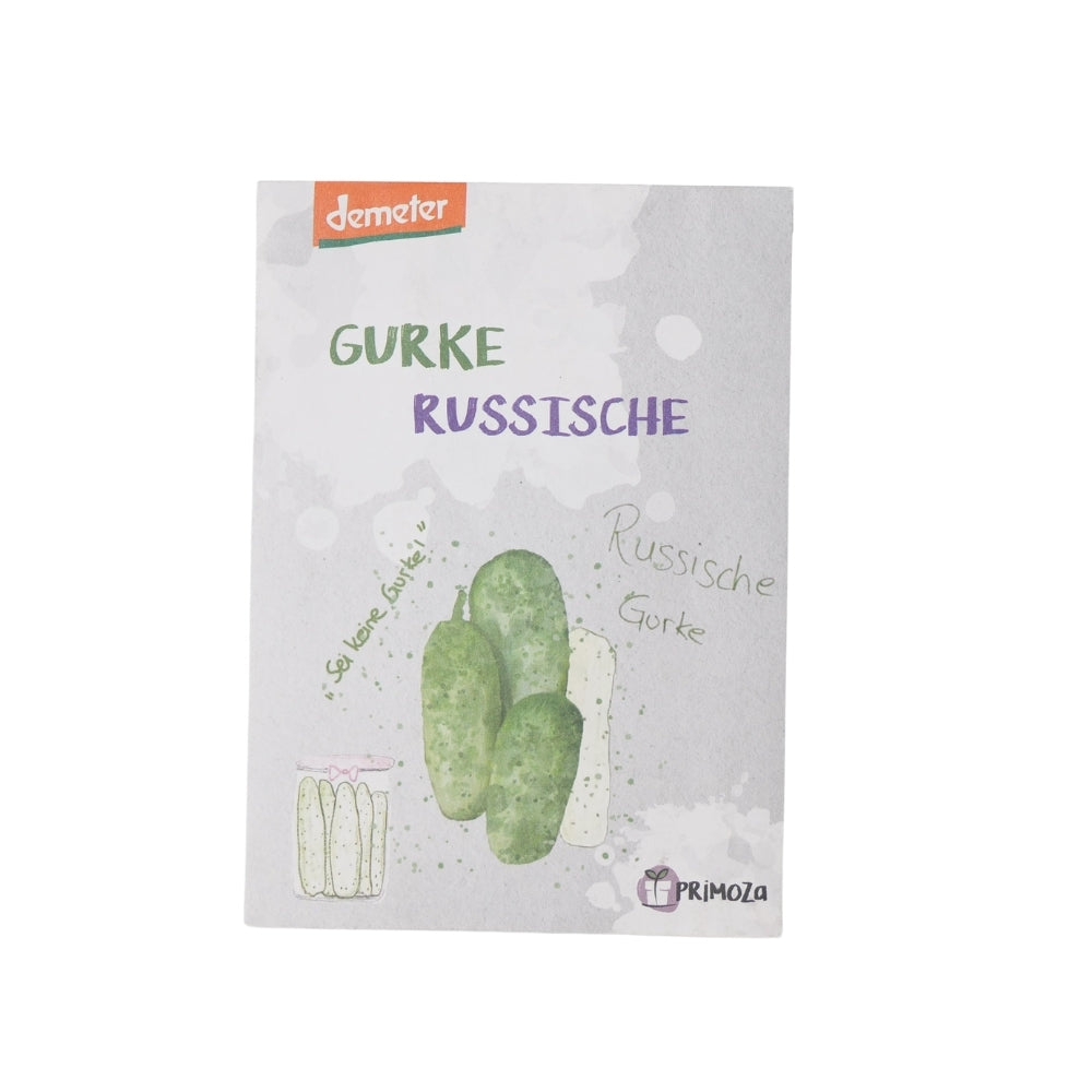 BIO Saat russische Gurke