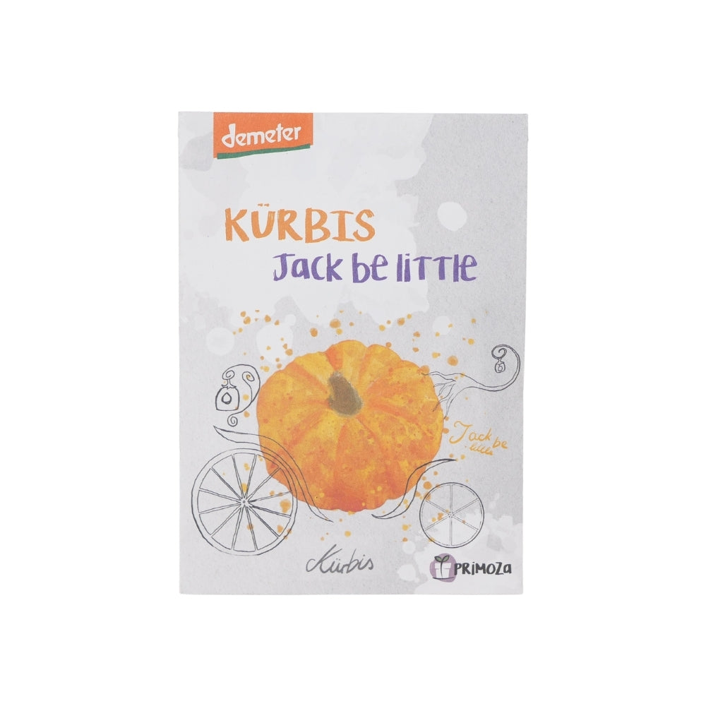 BIO Saat Kürbis