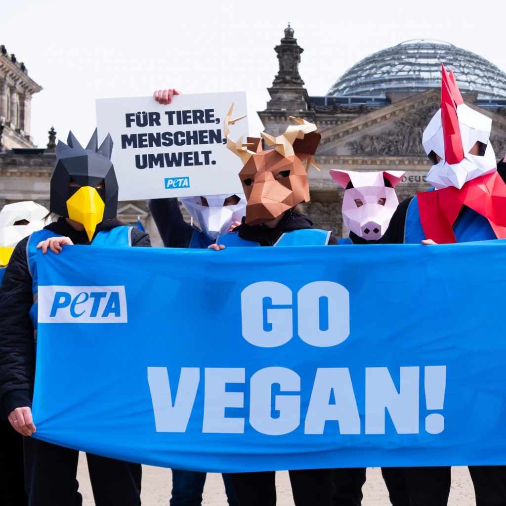 SocialProduct Bio Tofu Geräuchert x PETA