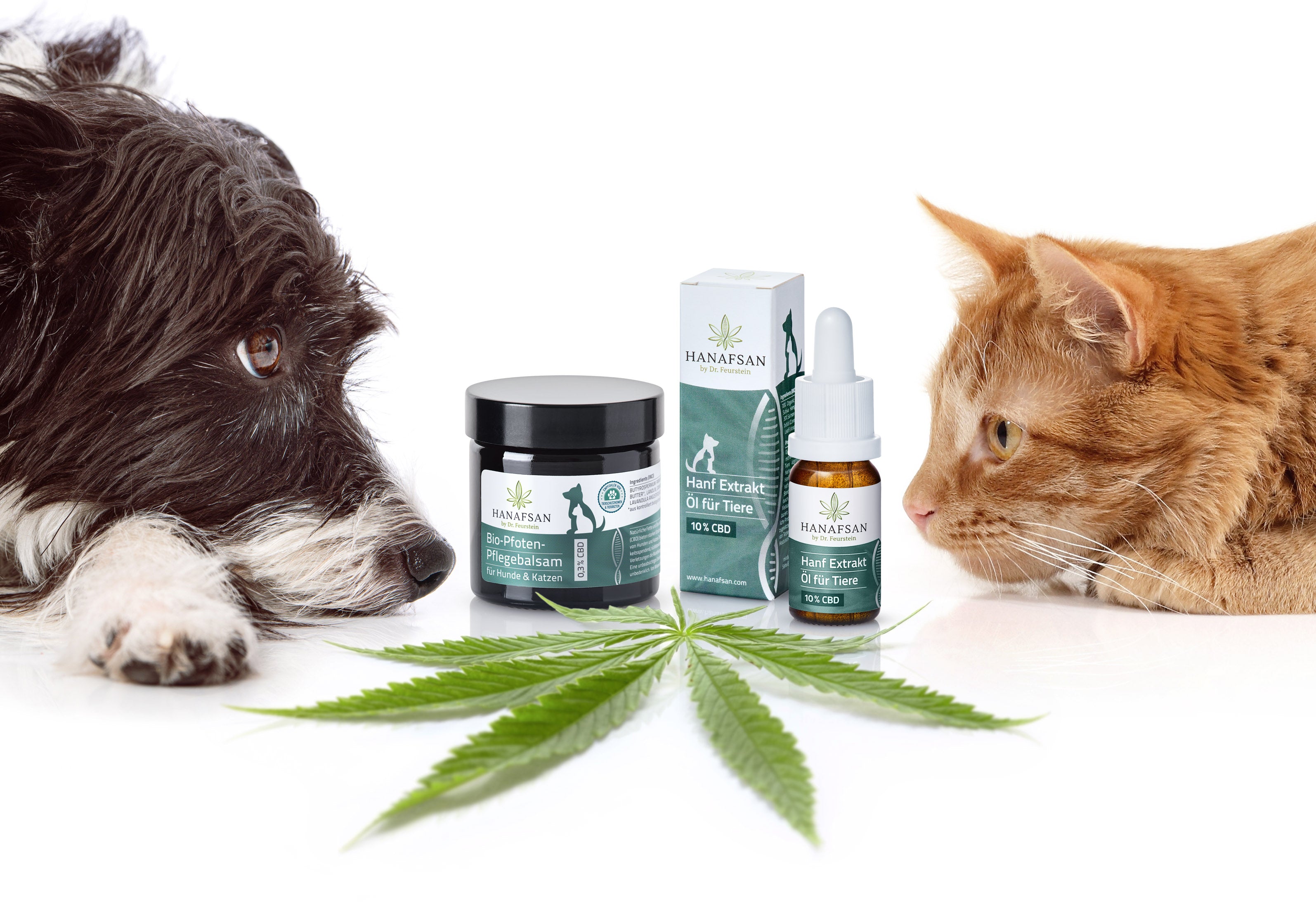 HANAFSAN Hanf Extrakt CBD Öl 10% für Tiere, 10ml