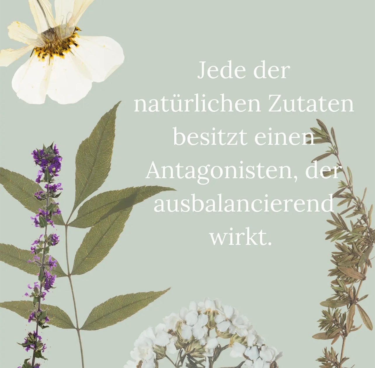 Guru Granola FLOW Wisdom - herzhaft, asiatisch, Curry, 50g