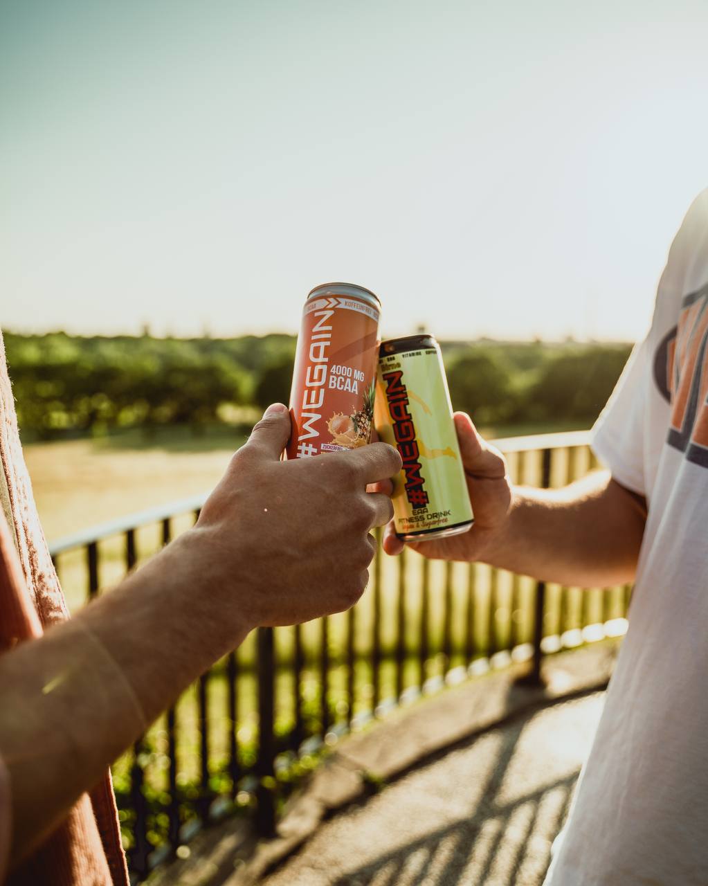 WEGAIN Tropische Früchte BCAA Drink Vegan, ohne Zucker & Koffeinfrei, 330ml