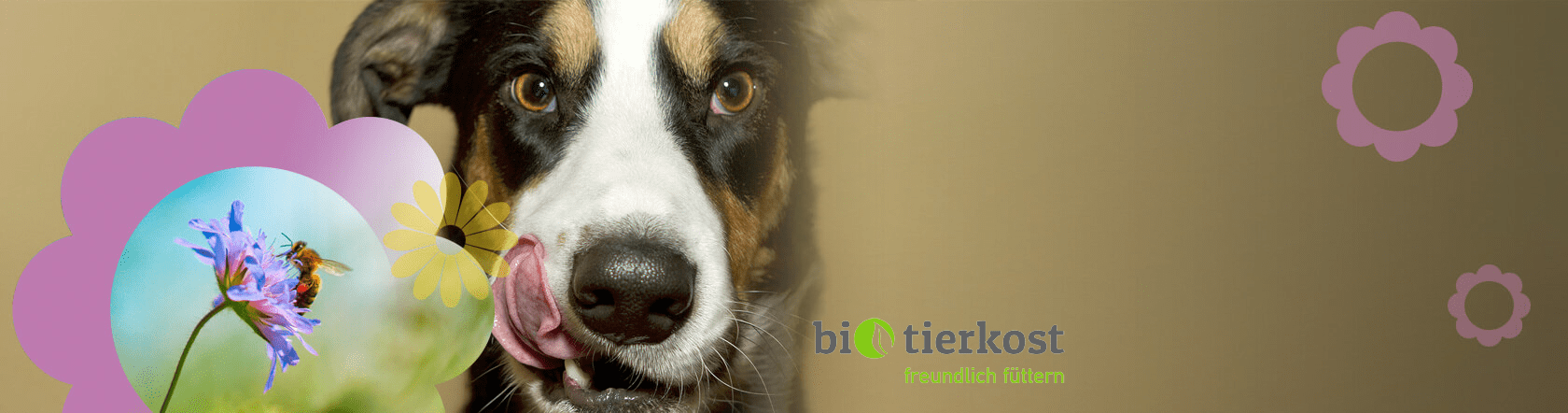 Neuer Partner: Bio-Tierkost - freundlich füttern