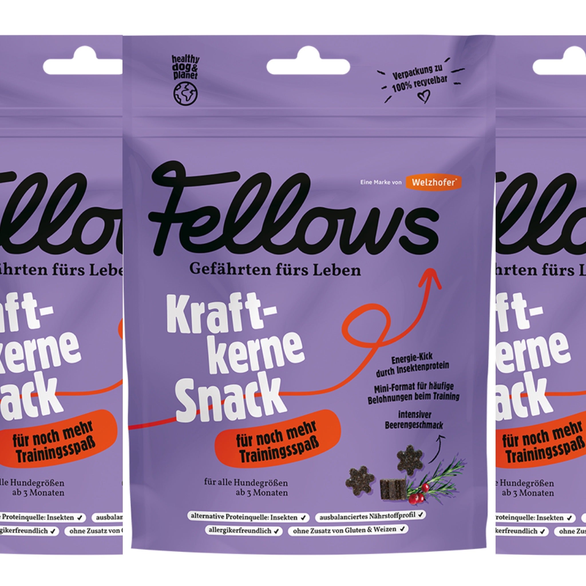 Fellows, Kraftkerne Snack, 8x125g