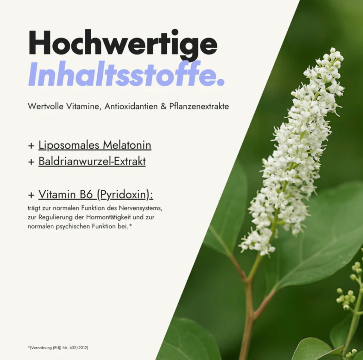 Serotalin Melatonin Spray liposomal