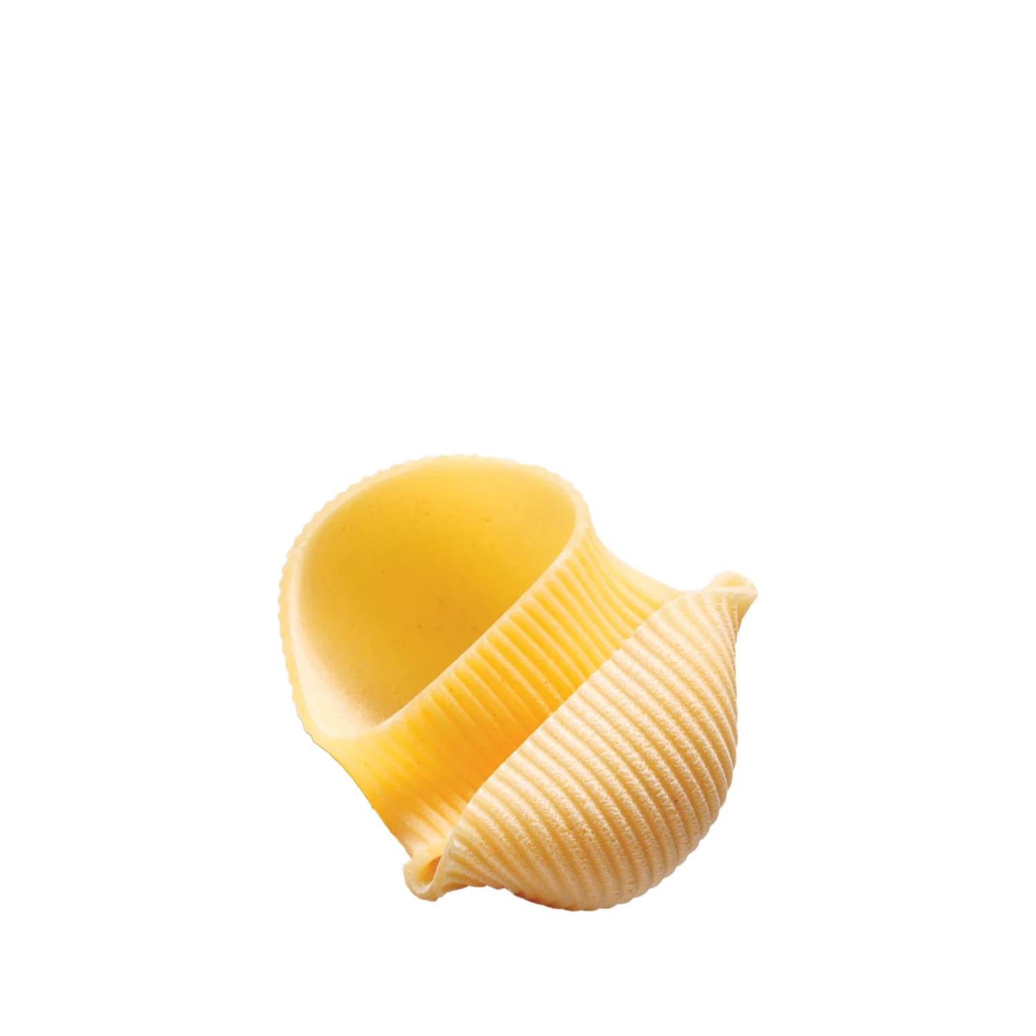Armando Italienische Pasta il Lumacone, 500g