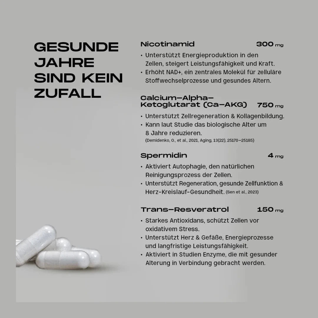 Scharfenstein Longevity - ALL-IN-ONE (Retter-Version) - Vegan & Glutenfrei, 60 Kapseln