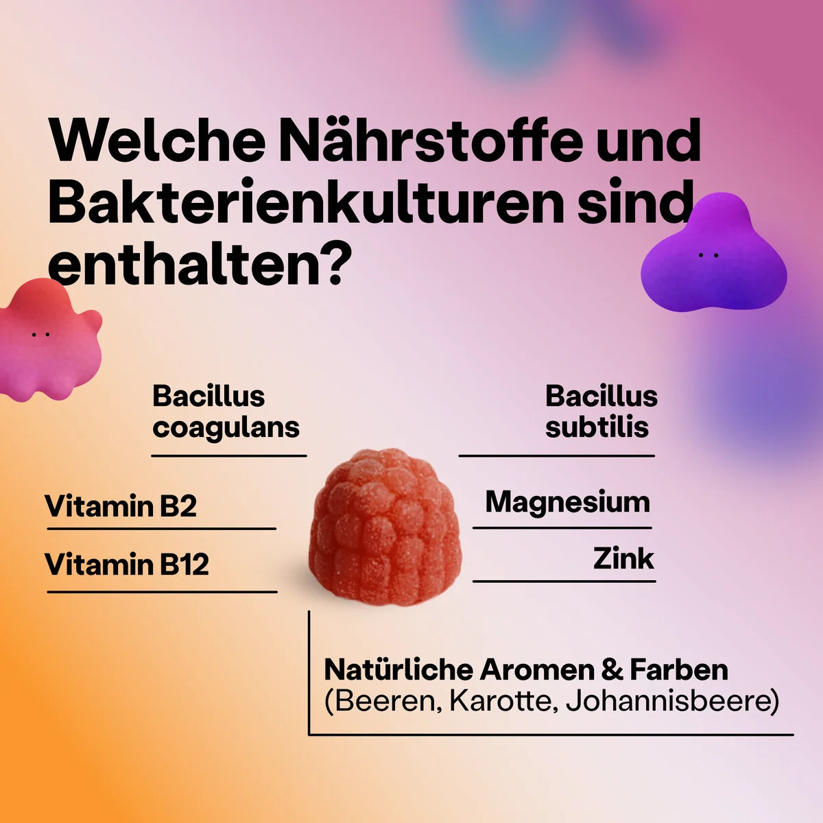 TummyGummies Fruchtgummis mit Probiotika + Vitamine: Multipack - 24 Dosen