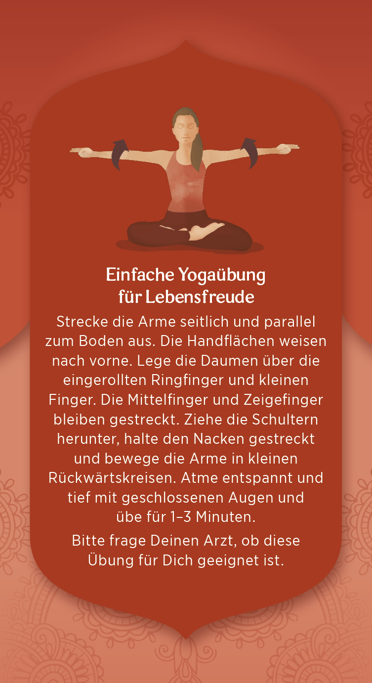 Yogi Tea Lebensfreude - Bio & Vegan, 17x1,8g